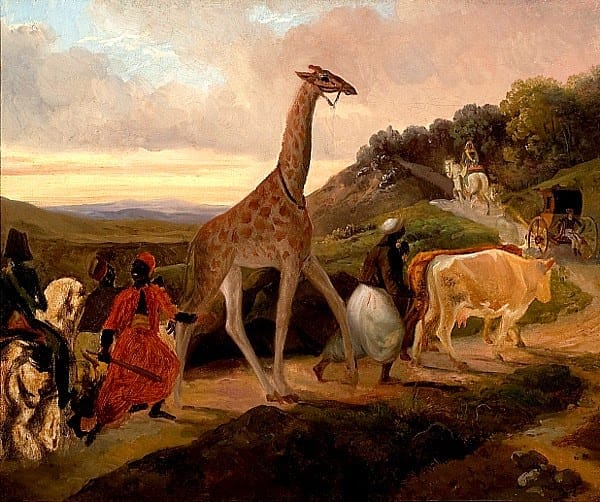 Jacques Raymond Brascassat, "Giraffe Crossing" (1827) (via Wikimedia)
