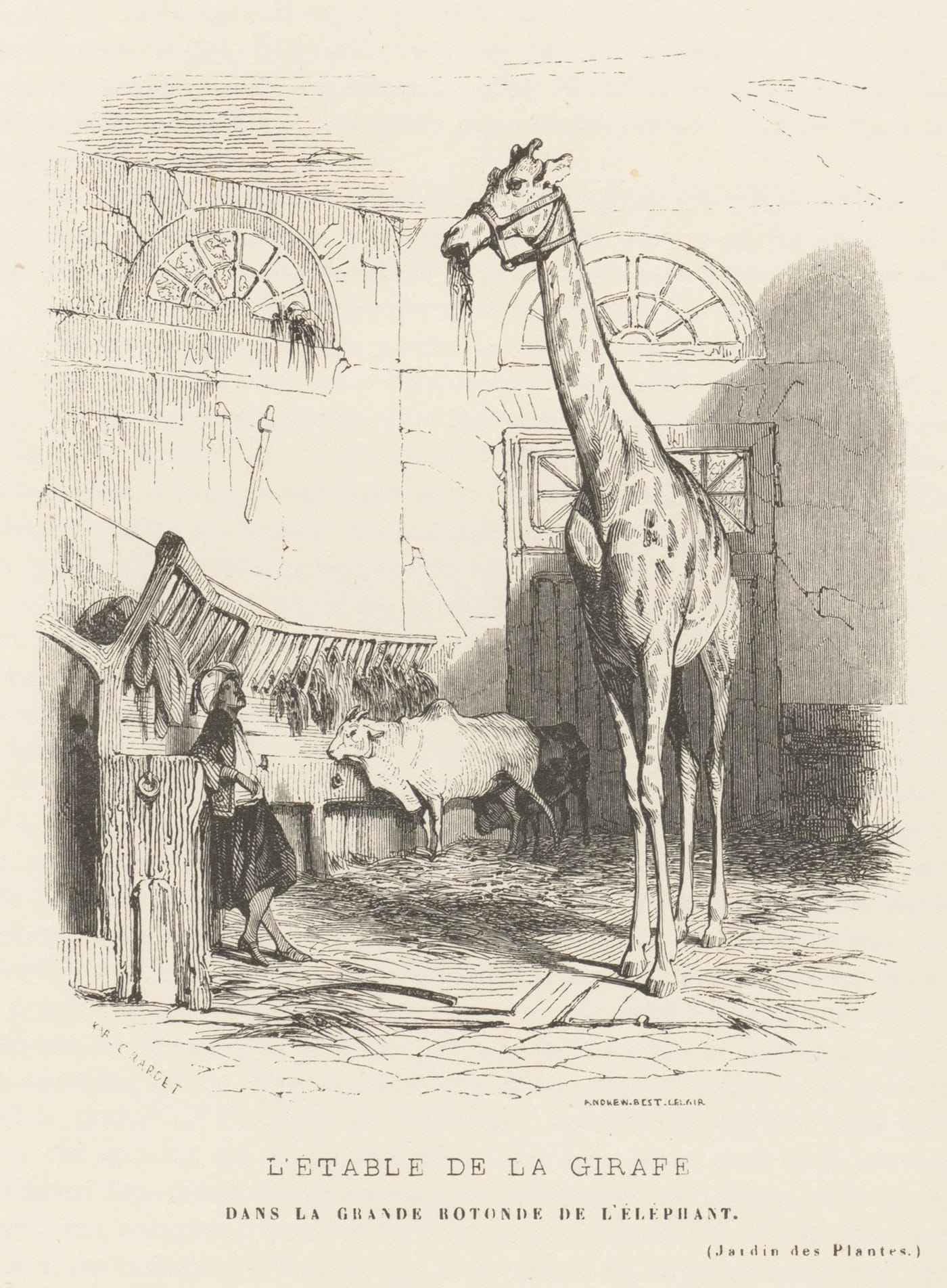 Karl Girardet, "L'étable de la girafe dans la grande rotonde de l'éléphant" (1842) (via Metropolitan Museum of Art/Wikimedia)