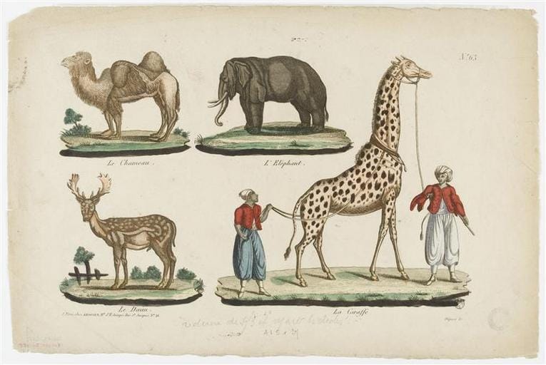 The giraffe with other exotic animals (via Musée national des Arts et Traditions Populaires/Wikimedia)