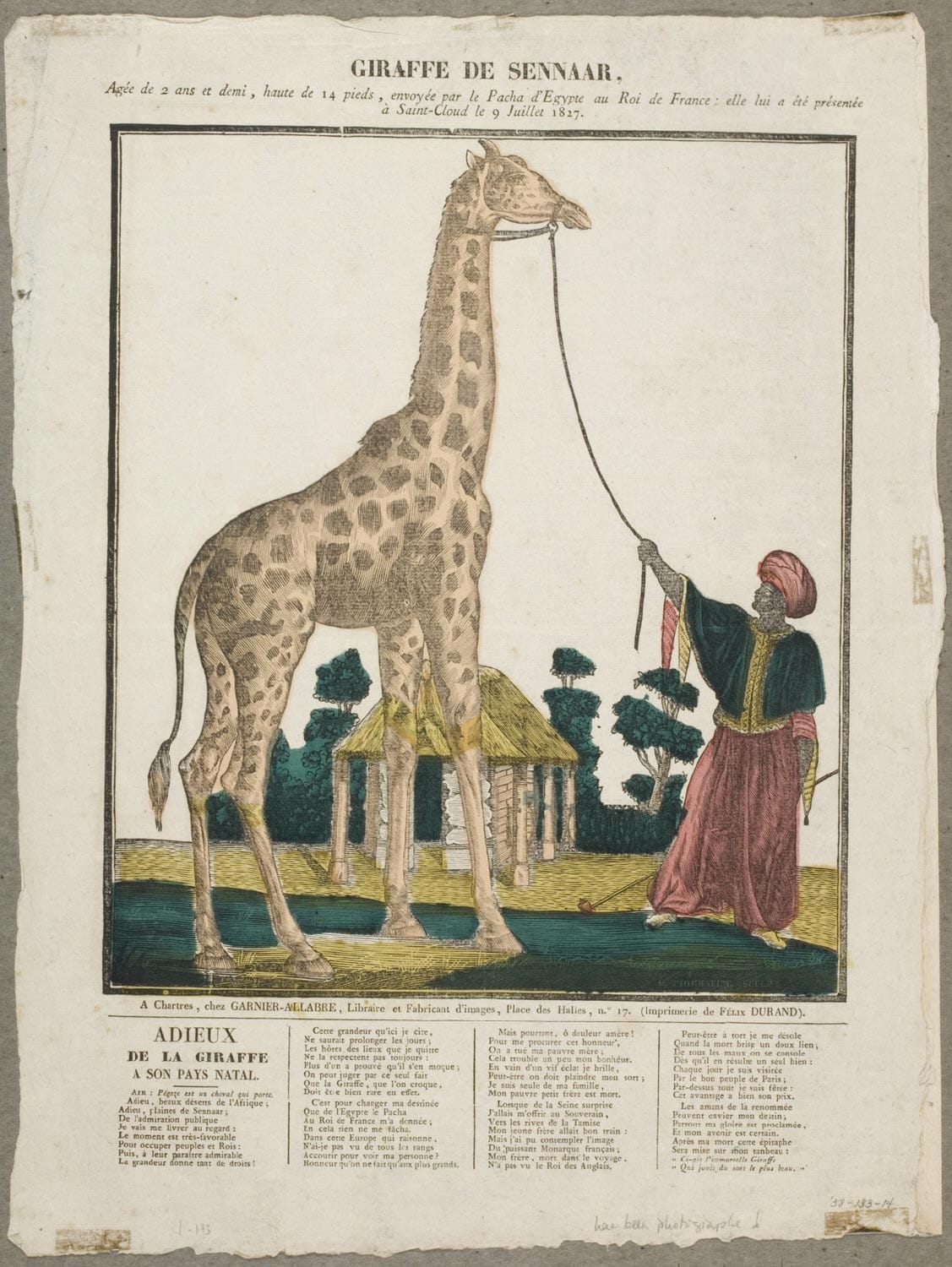 A. Thiébault, "A Giraffe from Sennaar, Africa, Presented by the Pasha of Egypt to King Charles X of France at Saint-Cloud, July 9, 1827" (1827), stencil-colored wood engraving (courtesy Philadelphia Museum of Art)