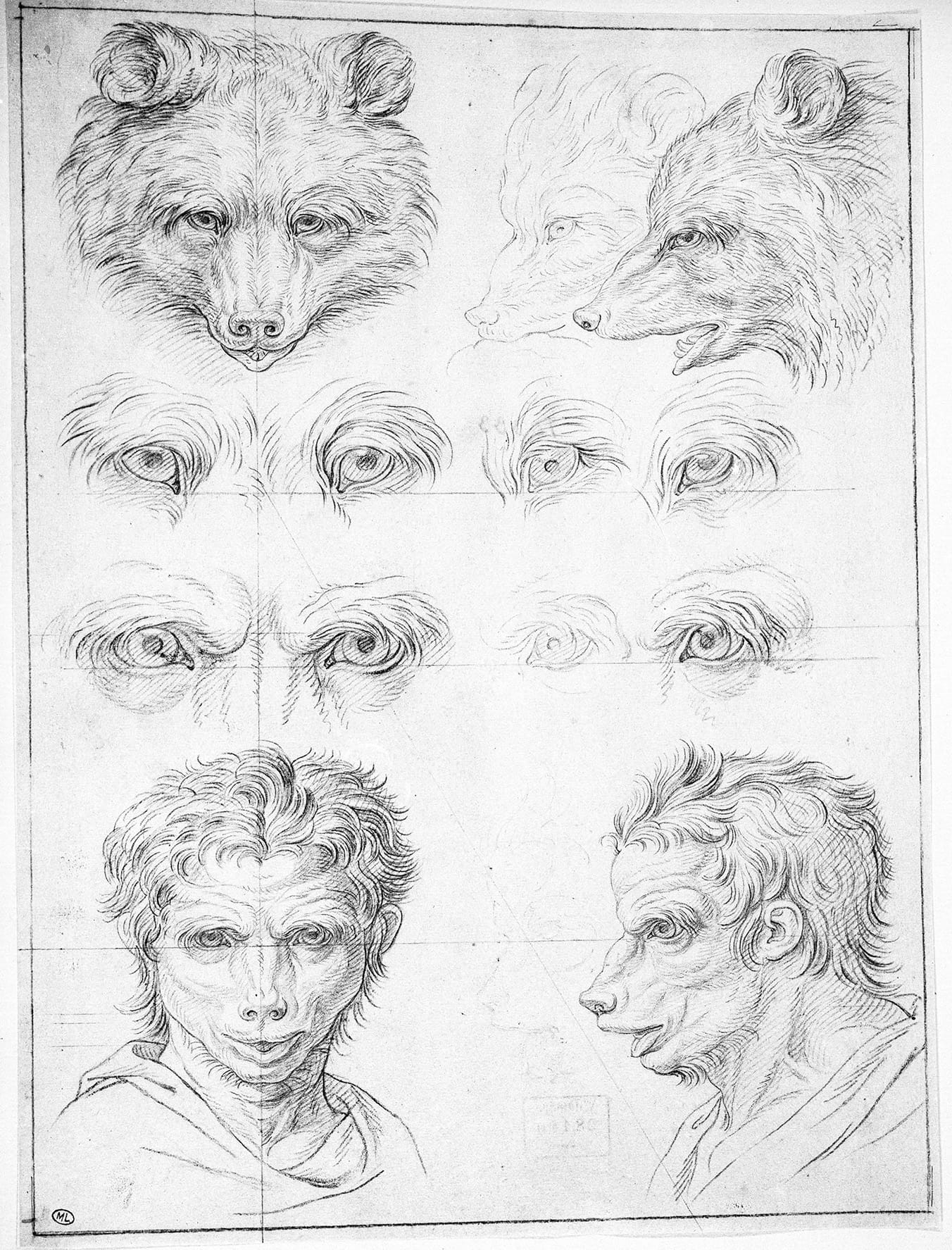 Charles Le Brun, "Bear-Man" (1668) (courtesy Art Resource, N.Y.)