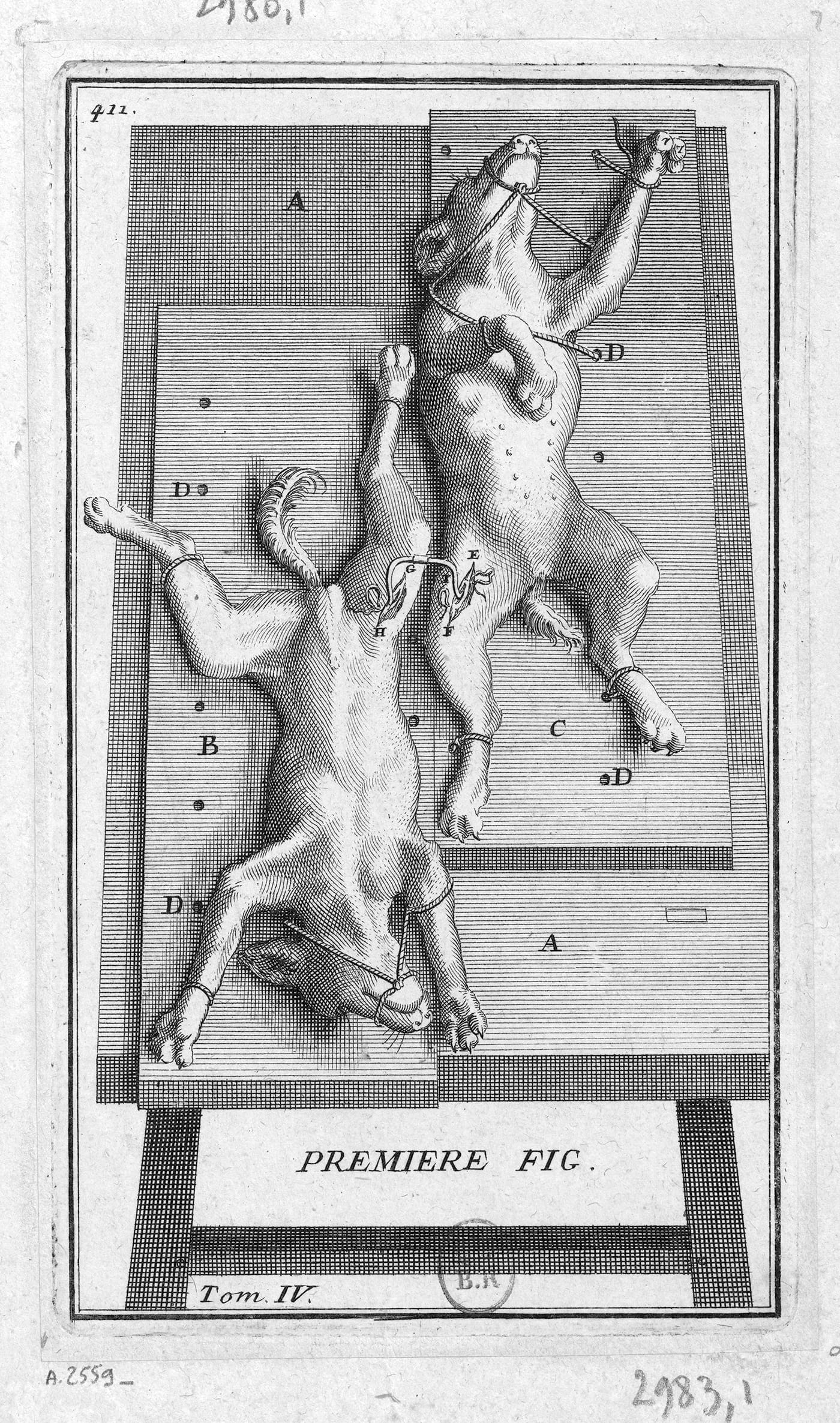 Sébastien Leclerc, "First Figure" (1668) (courtesy Bibliothèque nationale de France, Cabinet des Estampes), an engraving to be reproduced in Claude Perrault’s published report on his unsuccessful transfusion experiments with dogs in his <em>Essays on Physics</em> (1688)