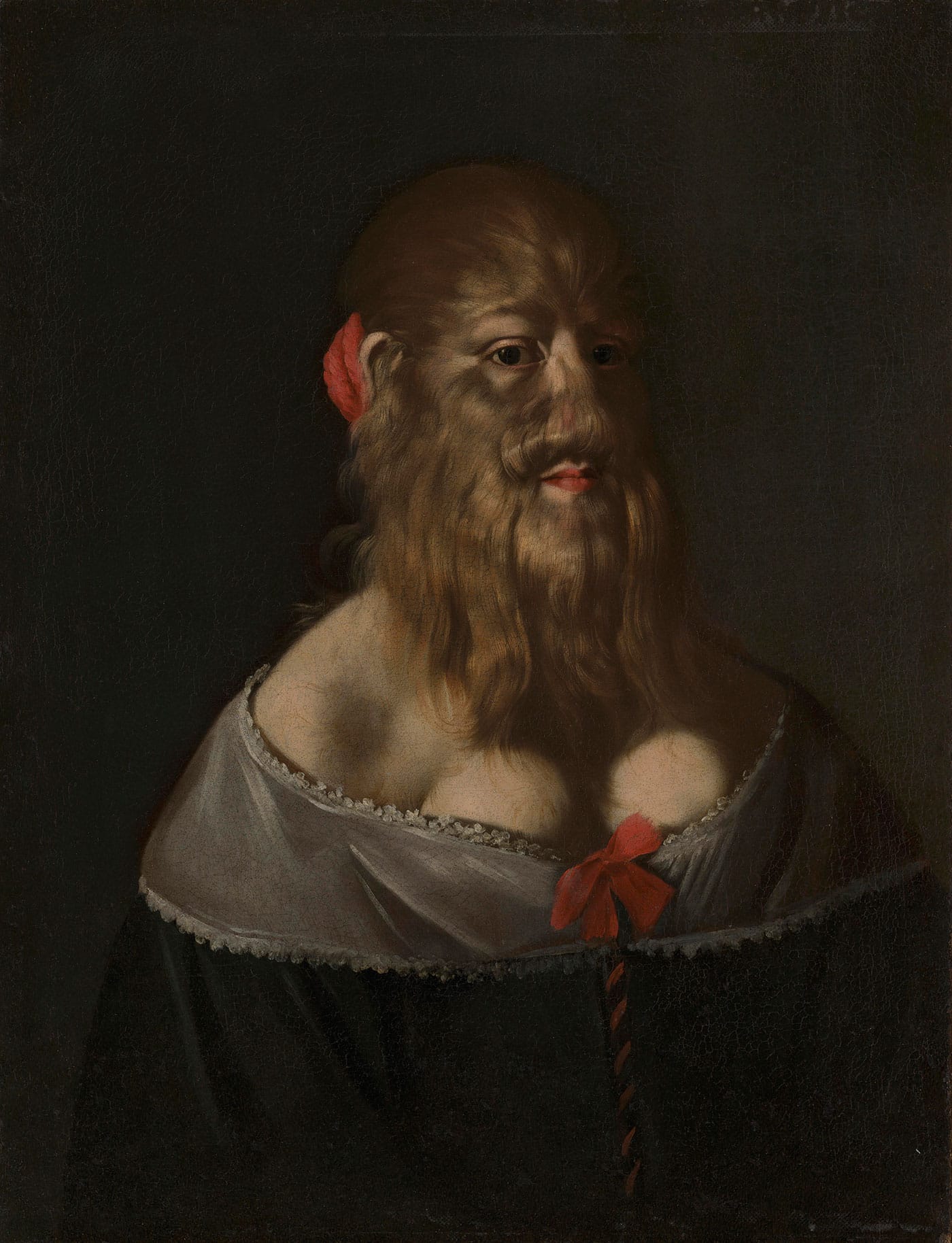 Portrait of Barbara van Beck (1640s) (courtesy Wellcome Collection, London)