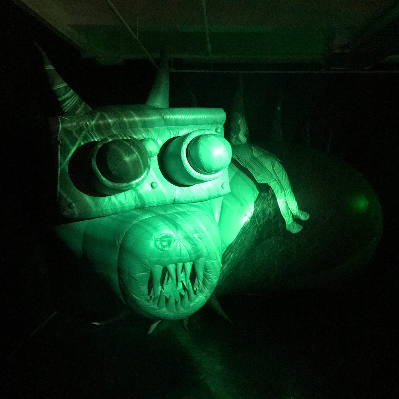 Installation view of Postcommodity's Coyotaje at Art in General (Benjamin Sutton/Hyperallergic)