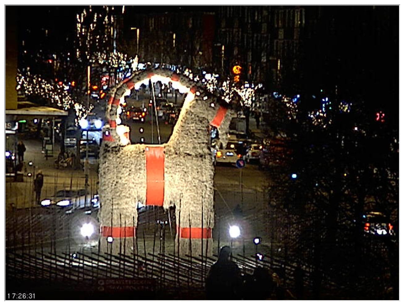 Still from the Gävle goat webcam (screenshot by the author for Hyperallergic)