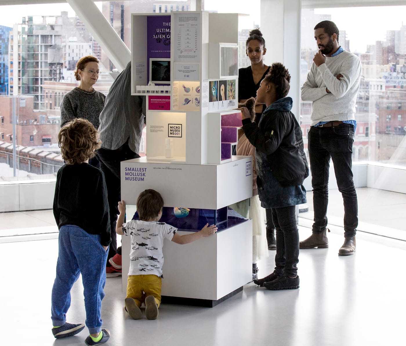 MICRO's Smallest Mollusk Museum (courtesy MICRO)