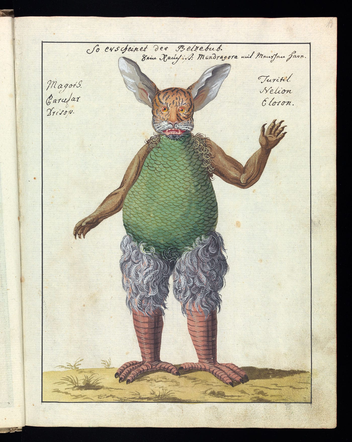 Touch Me Not (courtesy FULGUR)