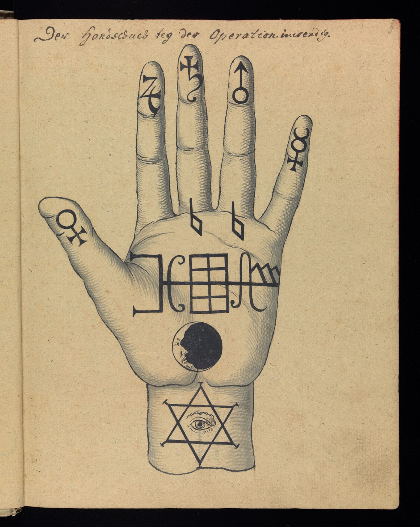 Touch Me Not (courtesy FULGUR)