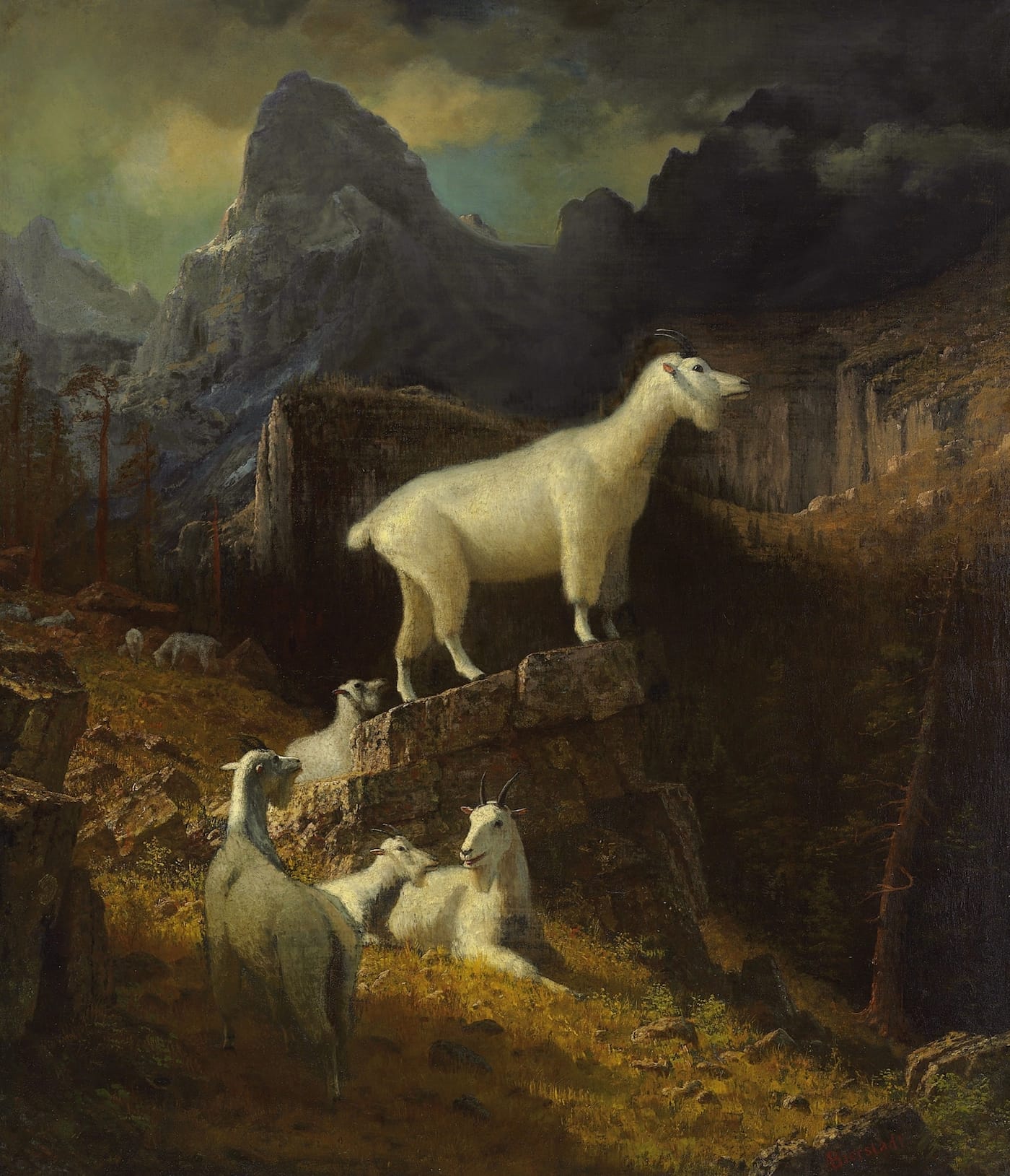 Albert Bierstadt, "Rocky Mountain Goats" (1885) (via Wikimedia Commons)