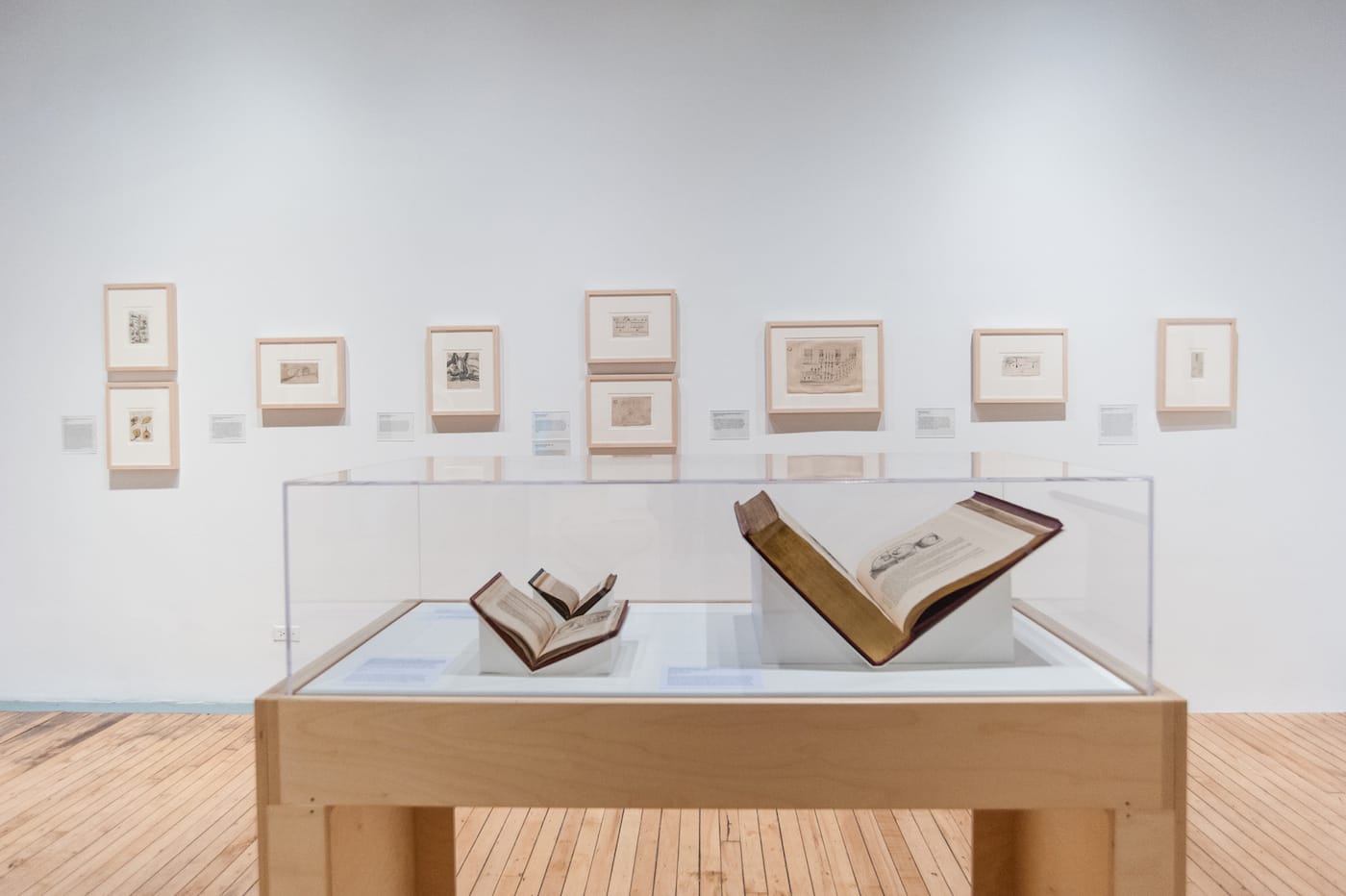 Installation view of <em>The Beautiful Brain: The Drawings of Santiago Ramón y Cajal</em> at Grey Art Gallery (photograph by Nicholas Papananias)