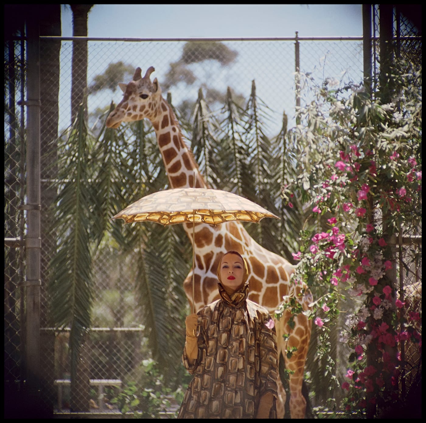 Gordon Parks, "Untitled, San Diego, California," (1959), archival pigment print, 20 x 16 in, edition 2 of 15, + 3 APs (all images courtesy of and copyright The Gordon Parks Foundation unless indicated otherwise)