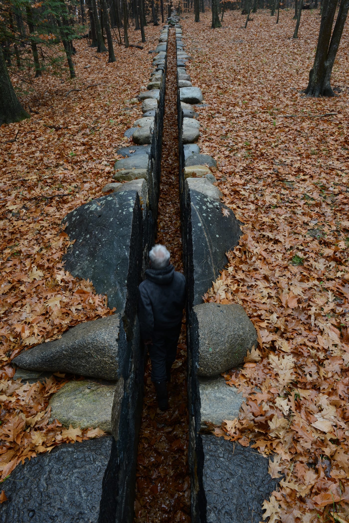 Andy Goldsworthy in <em/>Leaning into the Wind, a Magnolia Pictures release (photo courtesy of Magnolia Pictures; © Andy Goldsworthy, all rights reserved)