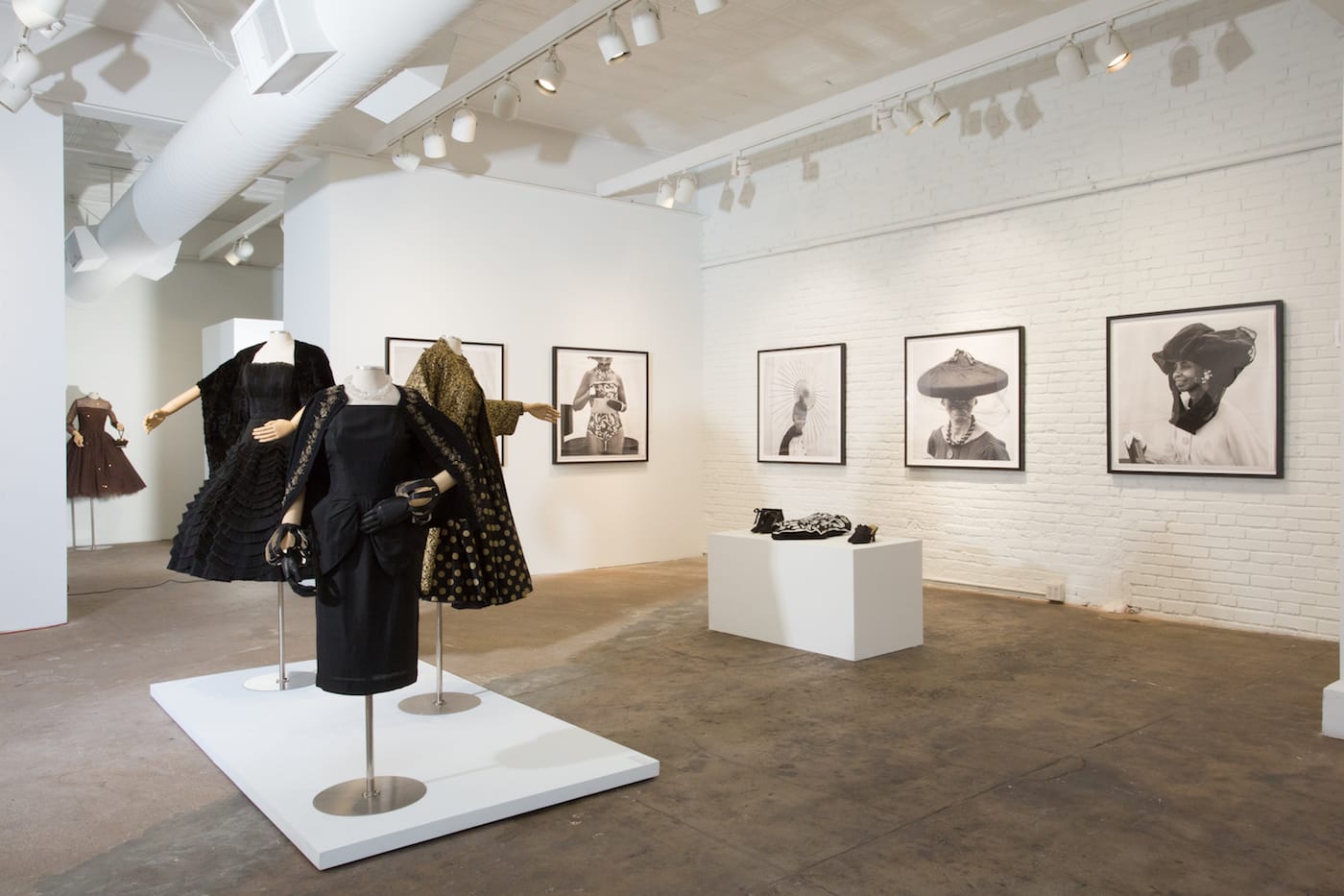 Installation view of Dario Calmese's Amongst Friends. at Projects Plus Gallery (photo by Sarah Carmody, courtesy the gallery)