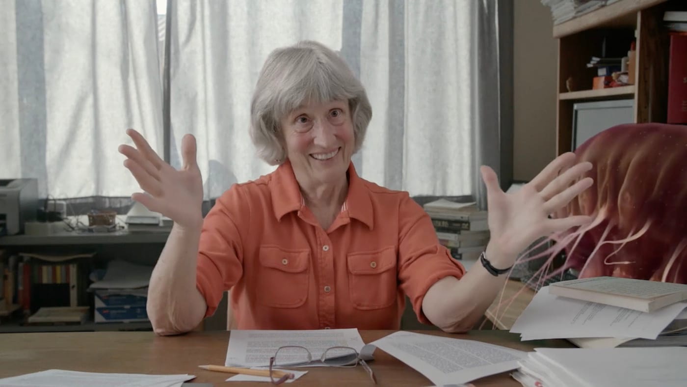 A scene from Donna Haraway: Story Telling for Earthly Survival (2016)