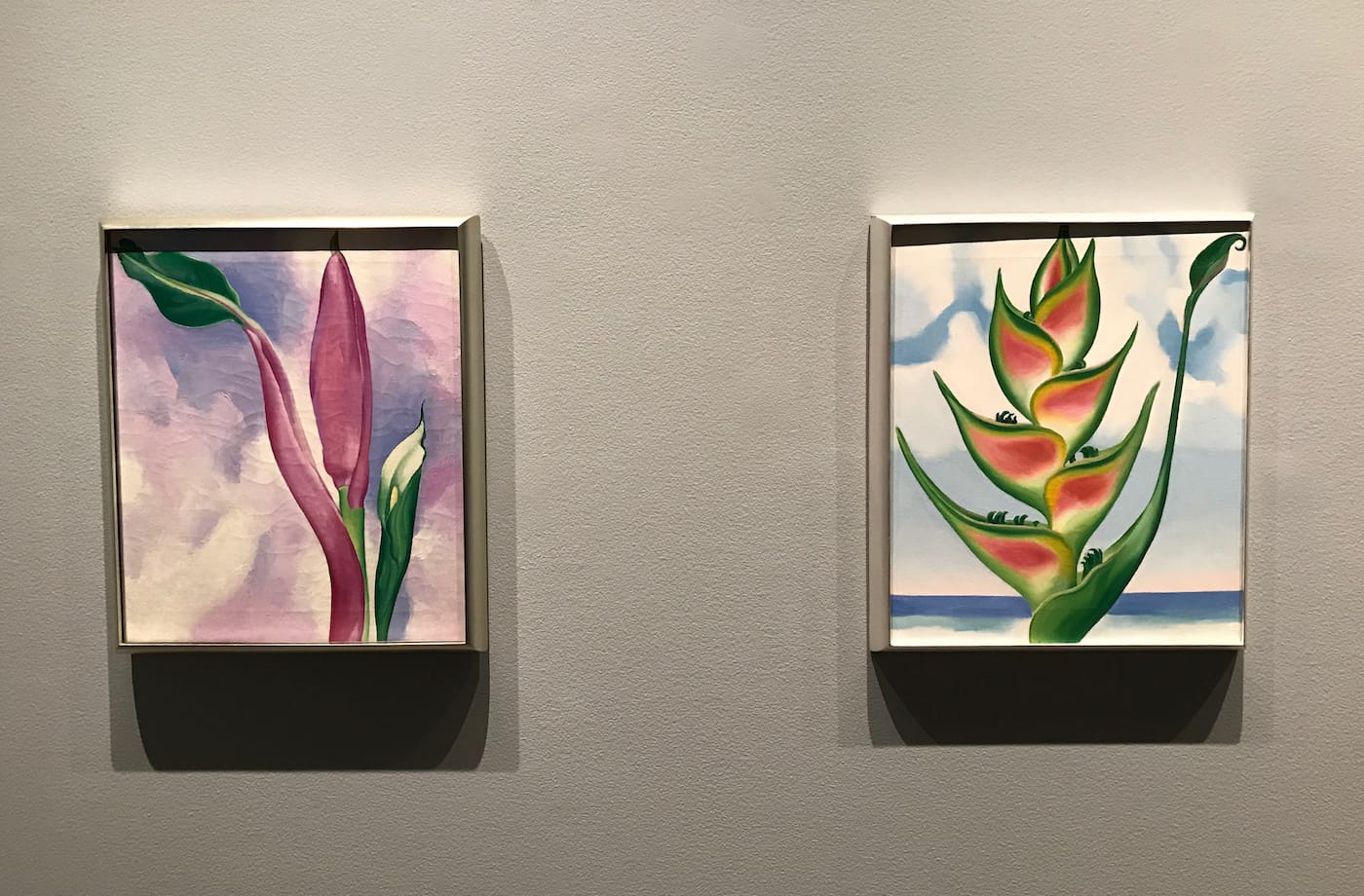 Georgia O'Keeffe, "Pink Ornamental Banana" and "Heliconia" (both 1939)