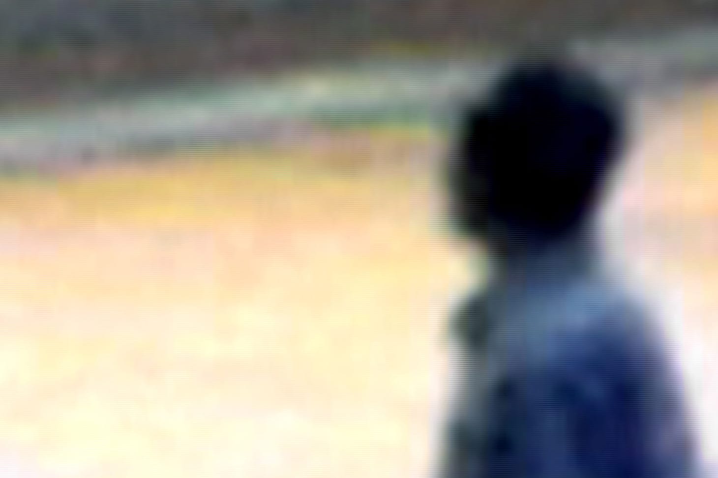 Carlos Motta, "Public Domain #6" (2004), archival pigment print, 20 x 30 in., Hall Collection, (Photo courtesy of Kevin Bruk Gallery)