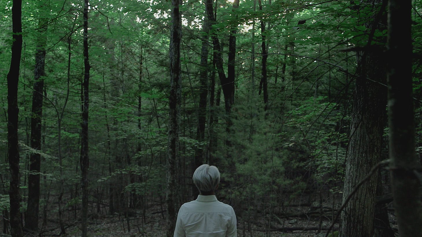 Ryuichi Sakamoto in <em/>Ryuichi Sakamoto: Coda (photo by Neo Sora) (photo courtesy of MUBI)