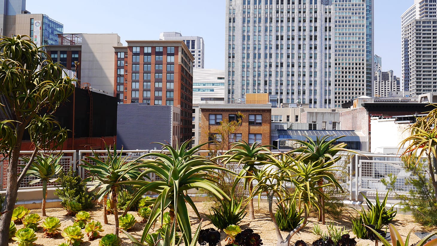 Salesforce Transit Center rooftop park