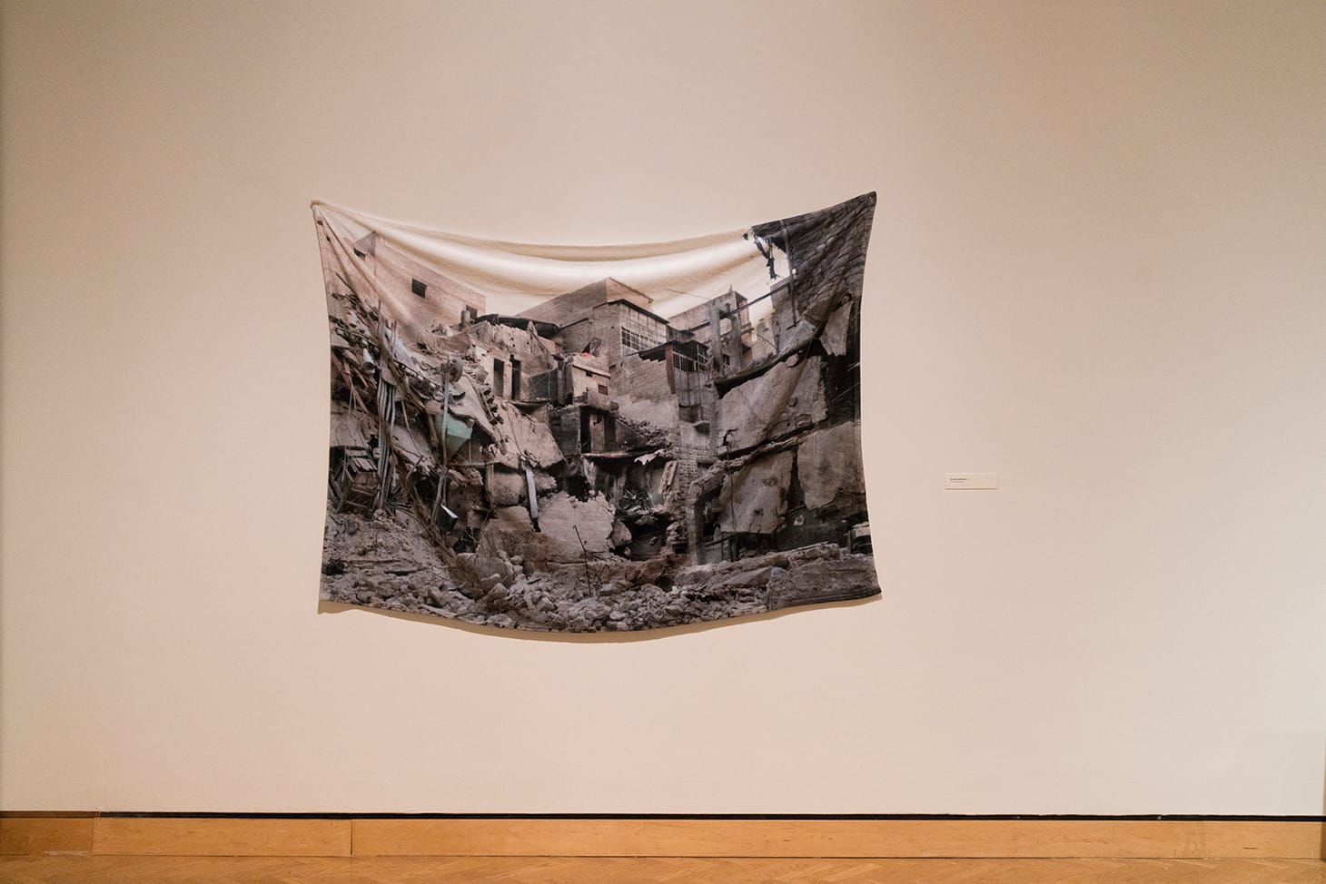 Essma Imady, "Receiving Blanket" (2016), printed plush blanket (image courtesy of the artist; photo by Minneapolis Institute of Art)