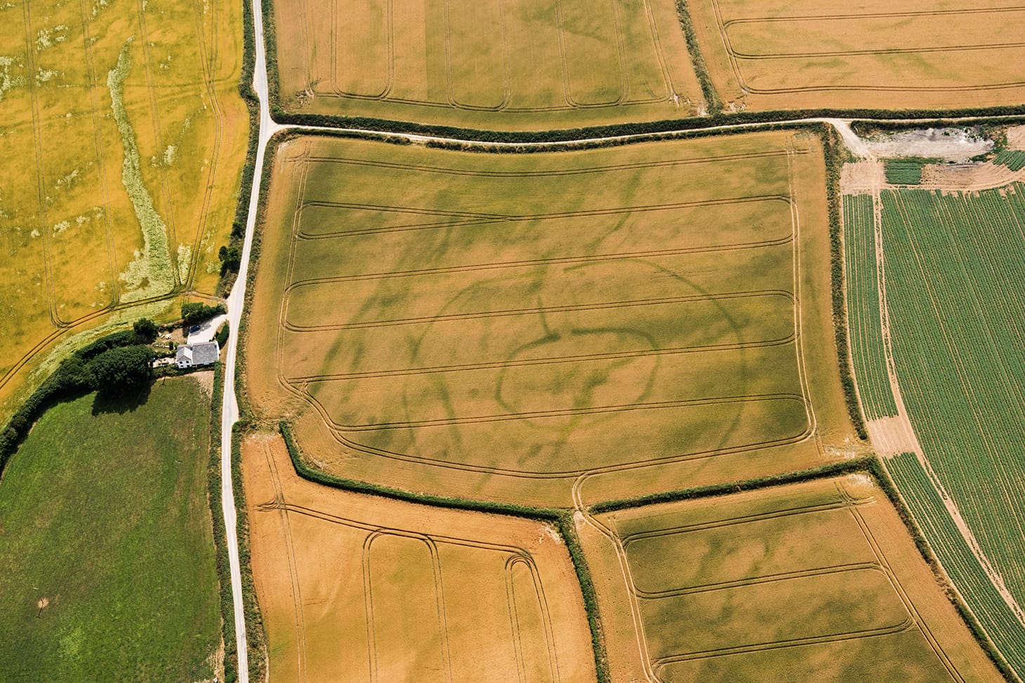 Prehistoric Settlement, Lansallos, Cornwall. Its layout is unusual, with concentric ditches with entrances connected by two parallel ditches. The inner ditch may have surrounded a settlement from the Bronze Age or Iron Age. The outer ditch may be later in date and may have been used as part of a system to manage livestock. (photo by Damian Grady, copyright Historic England)
