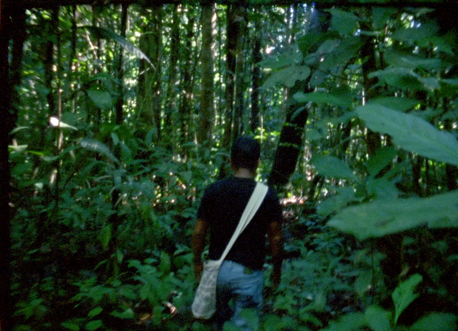 <em>The Labyrinth</em> (2018) © Laura Huertas Millán