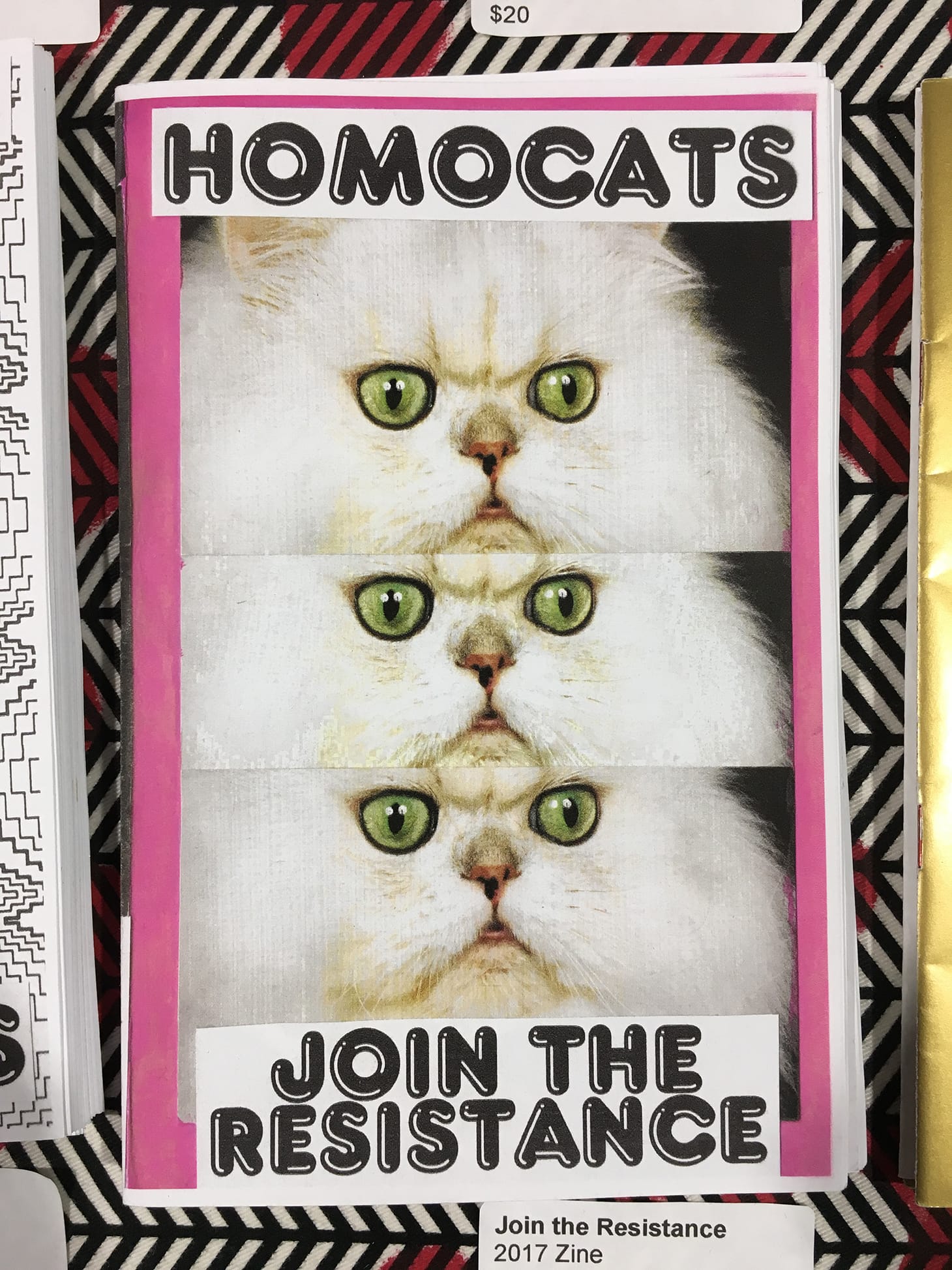 Homocats zine