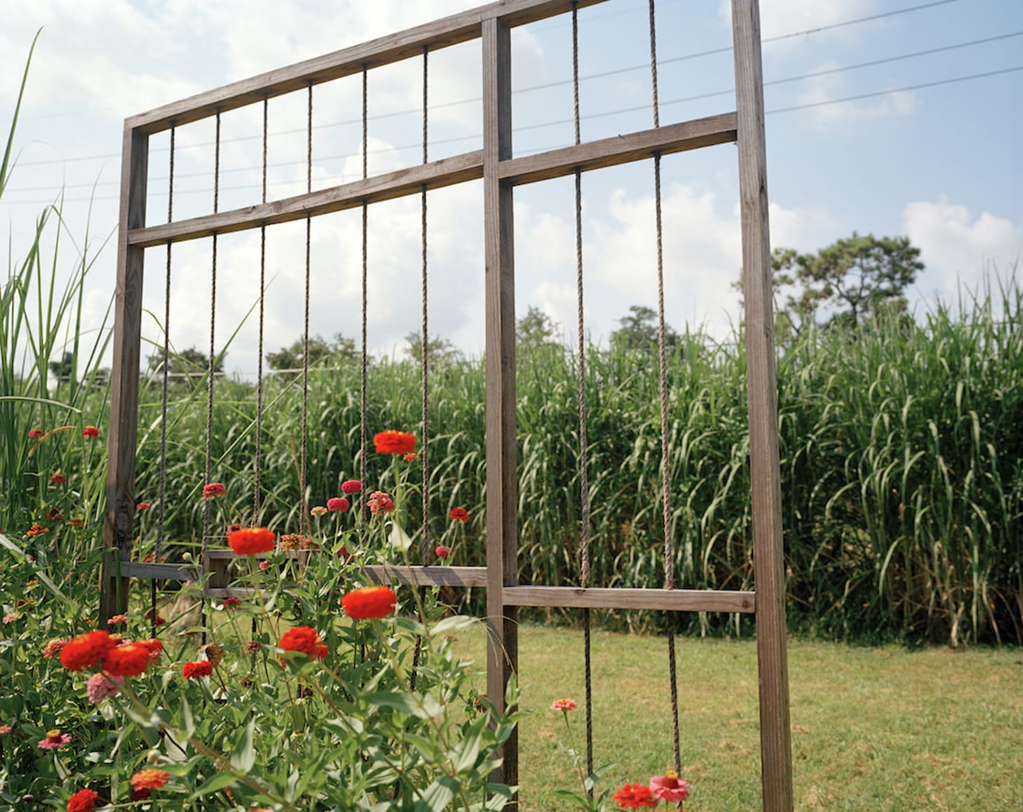 "Solitary Gardens" in New Orleans’ Lower Ninth Ward (photo by Olivia Hunter)