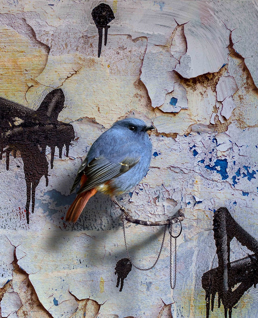 Mat Collishaw, "Gasconades (Lawofsuccess)"&nbsp;(2018) (courtesy of Paul Stolper Gallery)