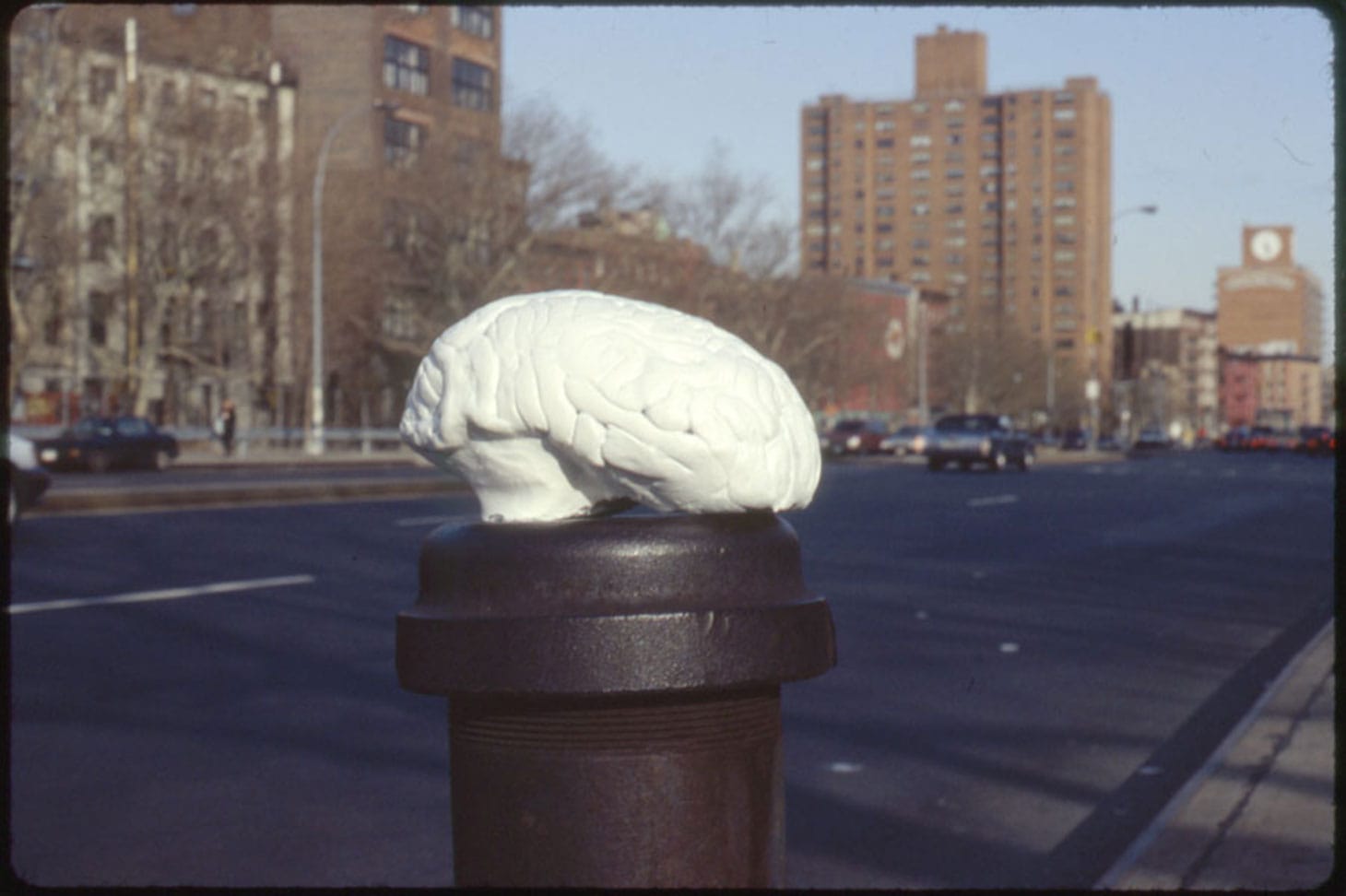 Robert Blanchon, "4 opportunistic infections for public viewing and consumption" (c. 1992)