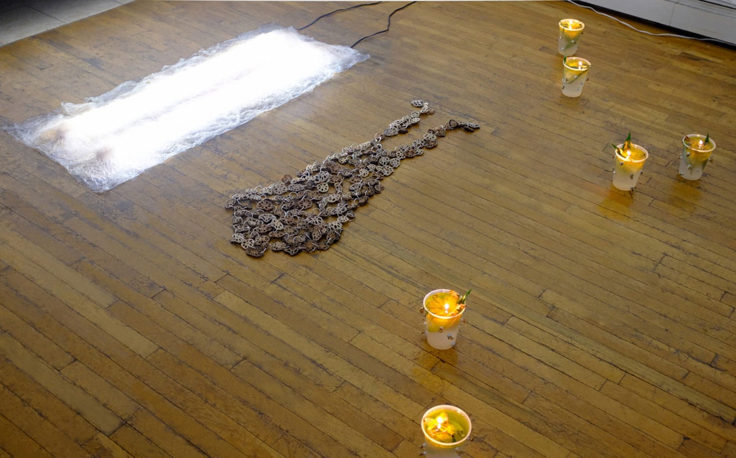 Installation view, Blood in D Minor (image courtesy the artist)
