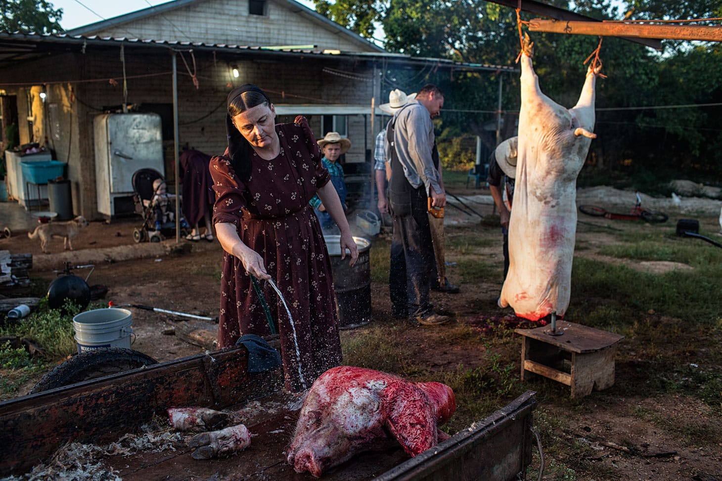 Nadia Shira Cohen "God’s Honey" (2018): Ana Ham cleans a pig’s head, while men of the family attend to the carcass (© Nadia Shira Cohen)