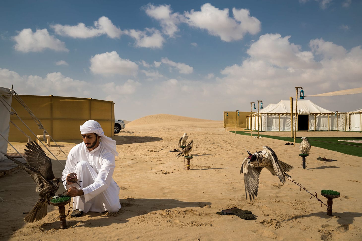 Brent Stirton, "Falcons and the Arab Influence" (2018): Falcons are tied to a perch at a camp near Abu Dhabi, UAE (© Brent Stirton, Getty Images for National Geographic)