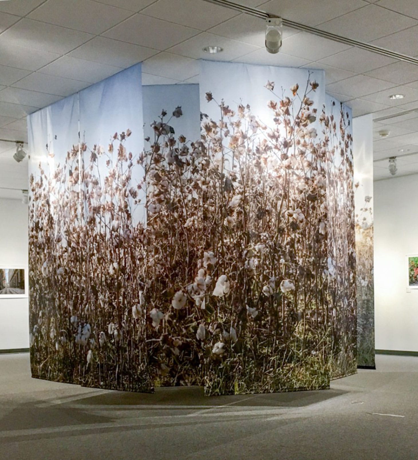 John E. Dowell, "Cotton" (image courtesy John E. Dowell)