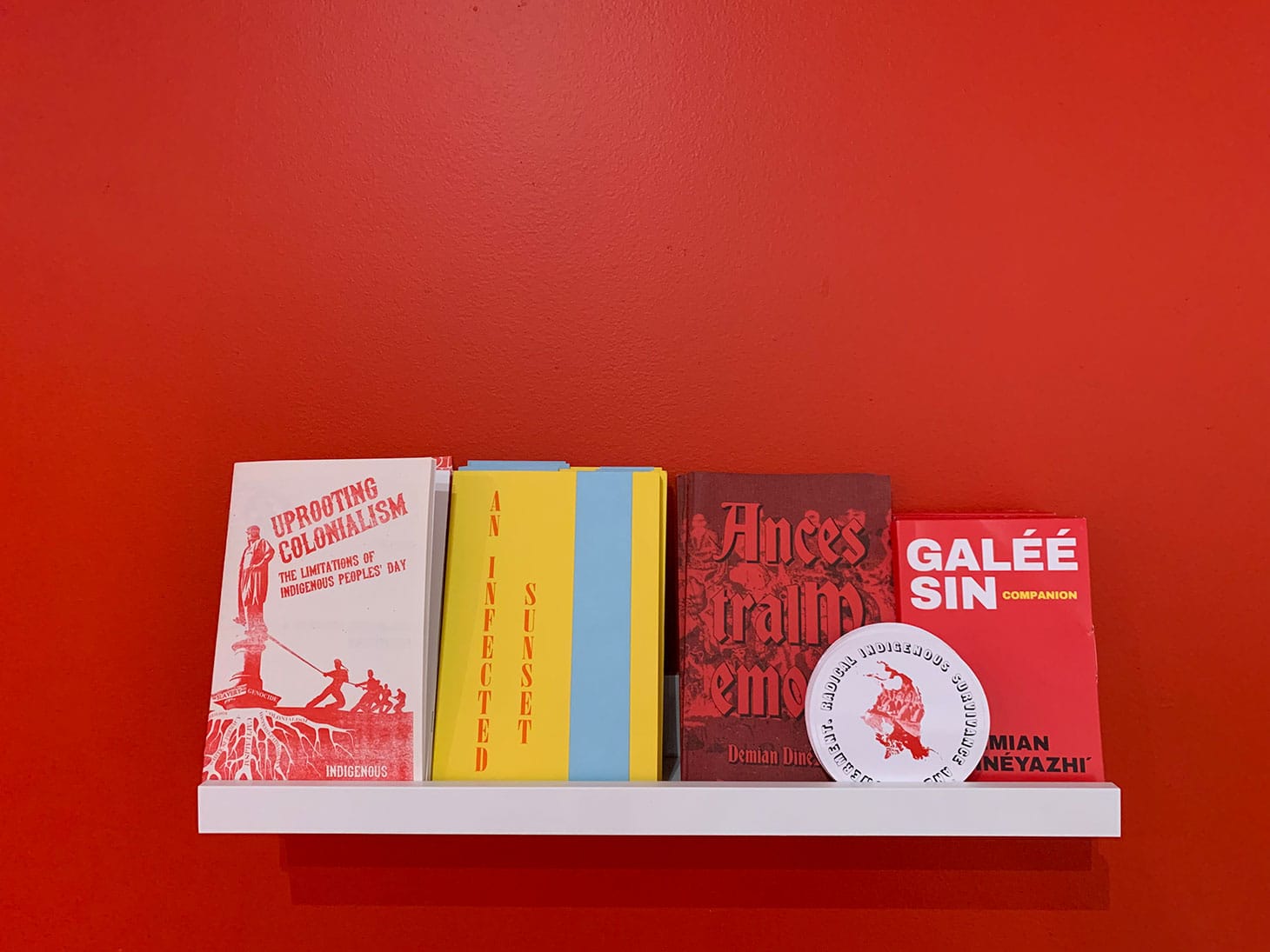 Zine display for R.I.S.E.