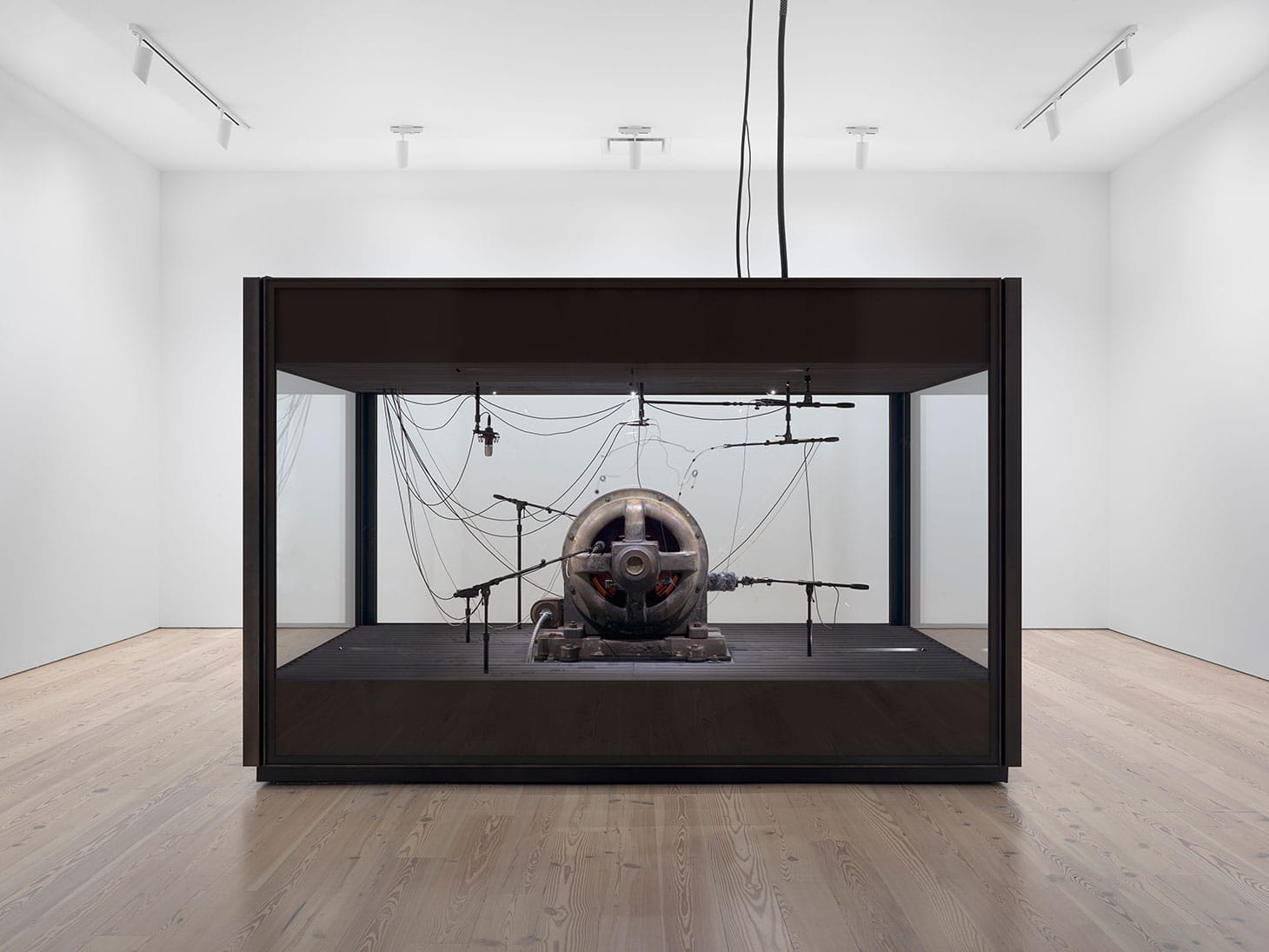 Kevin Beasley <em/>A view of a landscape, a cotton gin motor (2012–18), installation view, GE induction motor, custom soundproof glass chamber, anechoic foam, steel wire, monofilament, cardioid condenser microphones, contact microphones, microphone stands, microphone cables, and AD/DA interface (collection of the artist, image courtesy Casey Kaplan, New York, photo by Ron Amstutz)