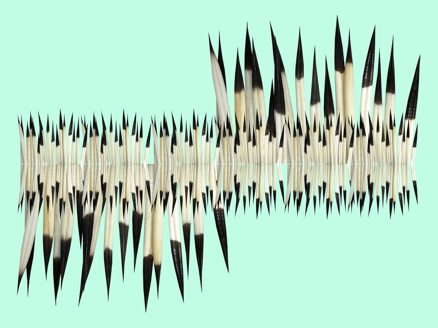 Jeffrey Gibson, "Untitled" (2018), digital photograph, dimensions variable (image courtesy the artist, Sikkema Jenkins & Co., Kavi Gupta, and Roberts Projects)