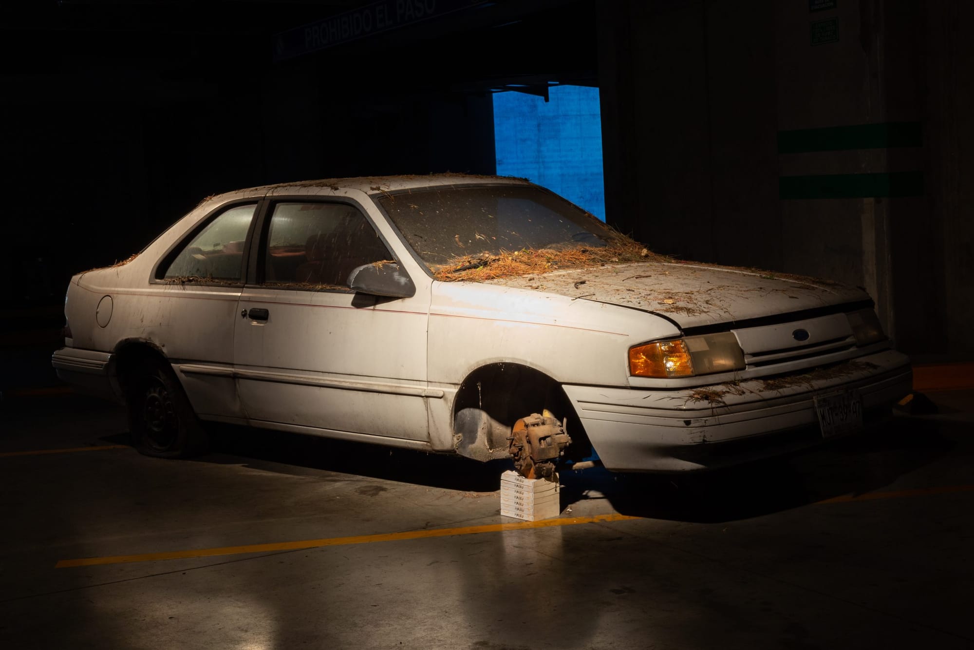 This image has an empty alt attribute; its file name is IMG_3336-scaled.jpg