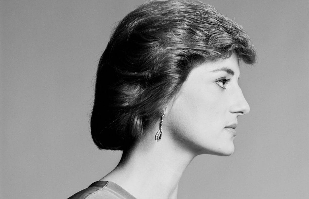 【J17732】DIANA A PORTRAIT Diana, Portraits of a Princess Commemorative Collection – Downies