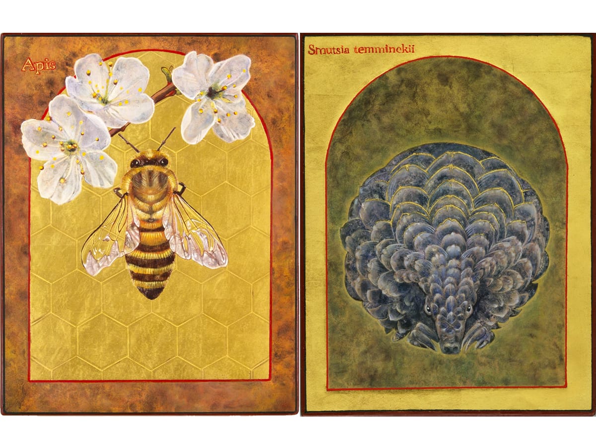 The Artist Painting Icons of Earth's Endangered Species