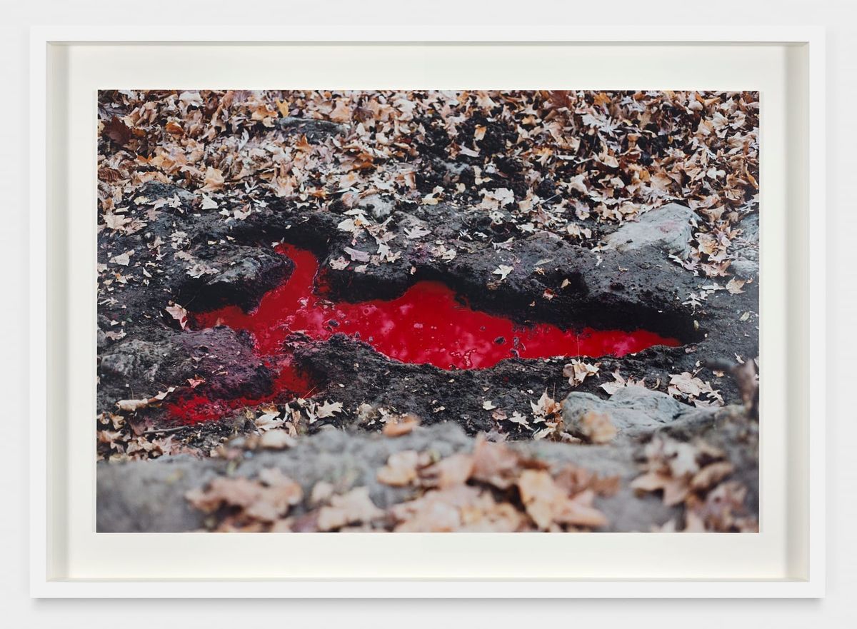 Ana Mendieta’s Injured Earth