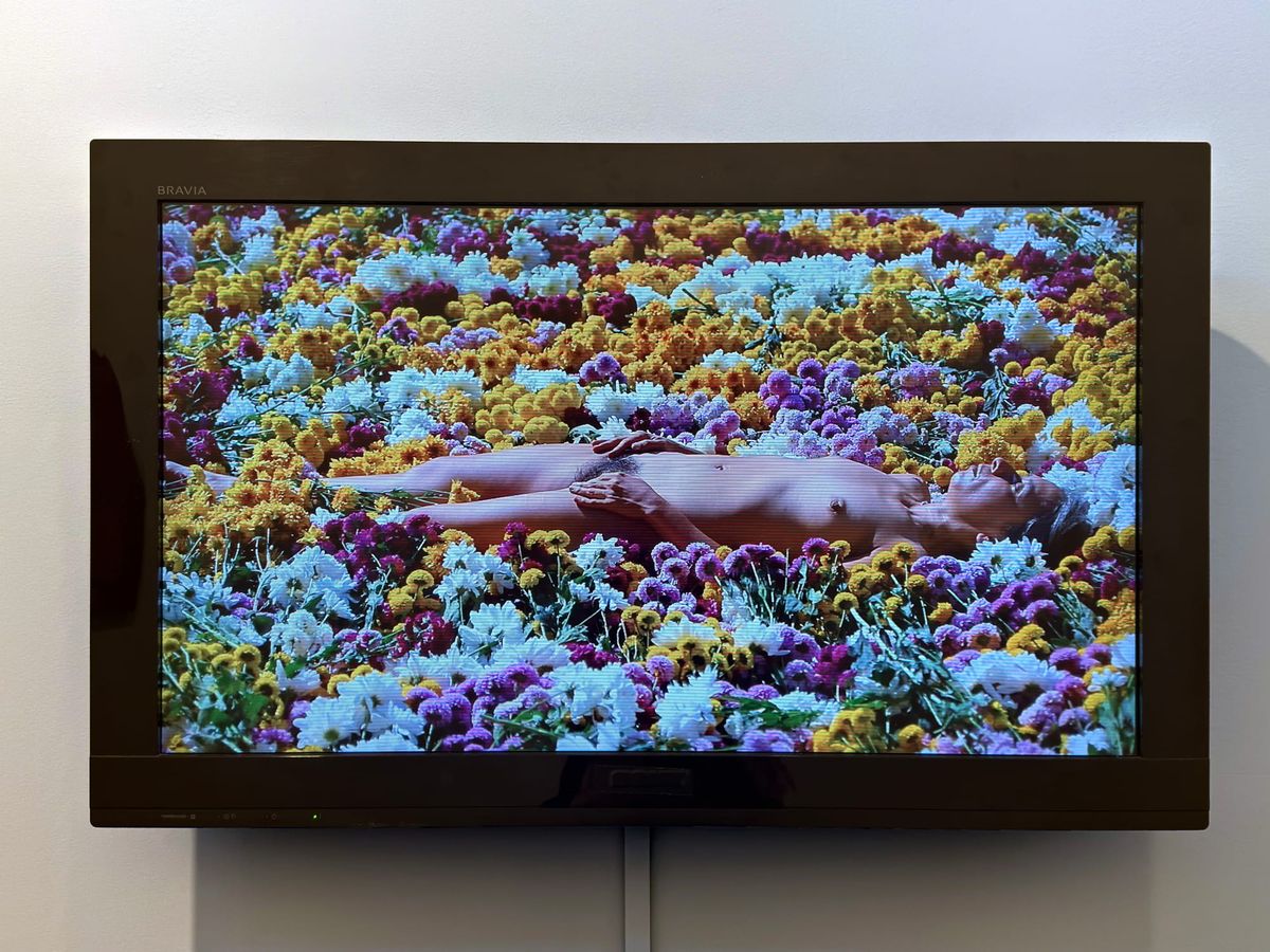 The Paradoxical Delights of South America’s Biggest Art Fair