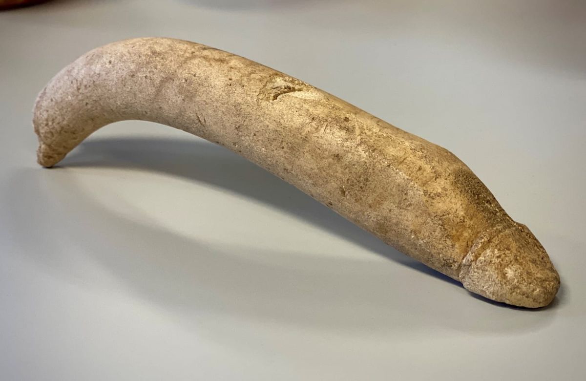 Dutch Museum Discovers 8-Inch Ancient Roman Phallus