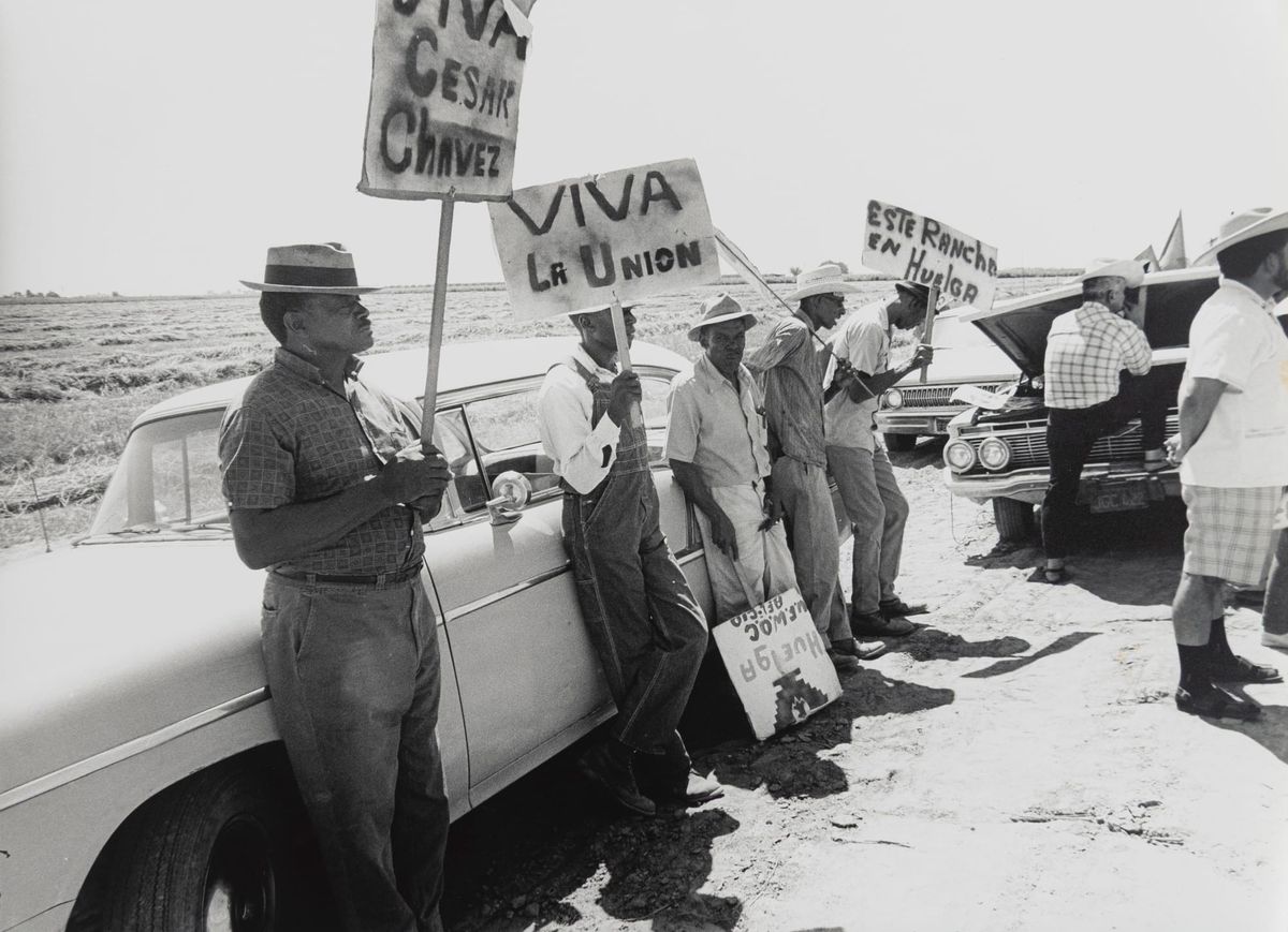 I'm a Chicana Curator. This Is Why I Removed Cesar Chavez From My Show