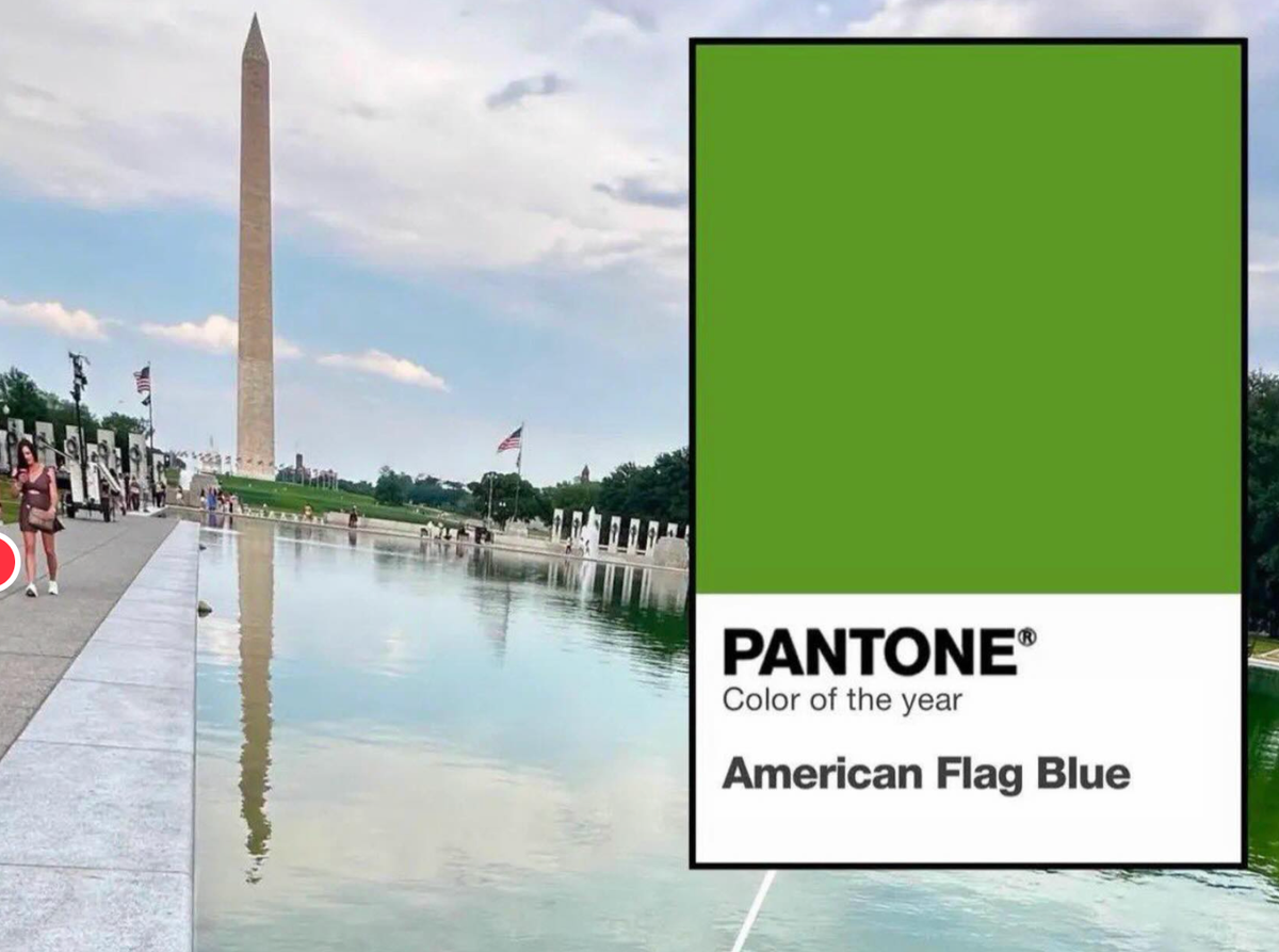 Happy AlgaeBTQ+ Month From Trumpâs Reflecting Pool Memes