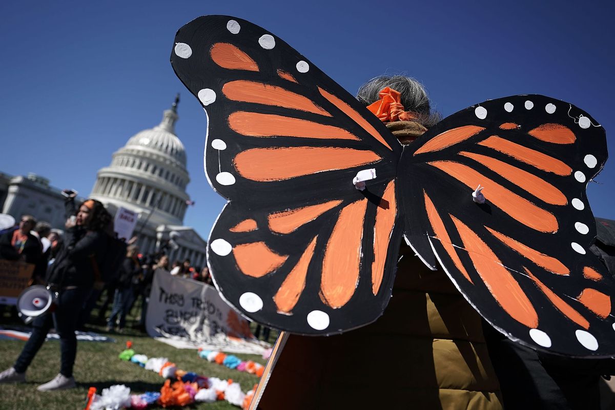 Trump Accuses Smithsonian of “Anti-White Activism” in Draconian New Report