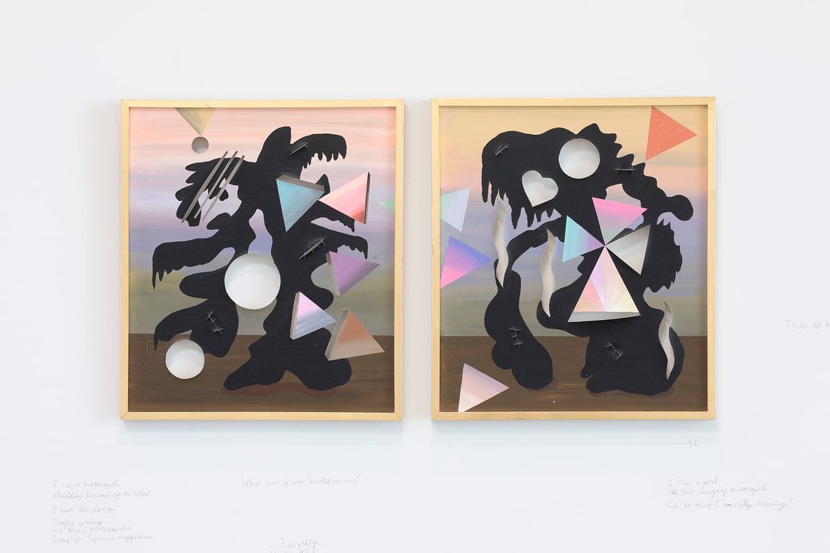 The Institute for Contemporary Art at VCU Presents Fernanda Laguna: As Everybody