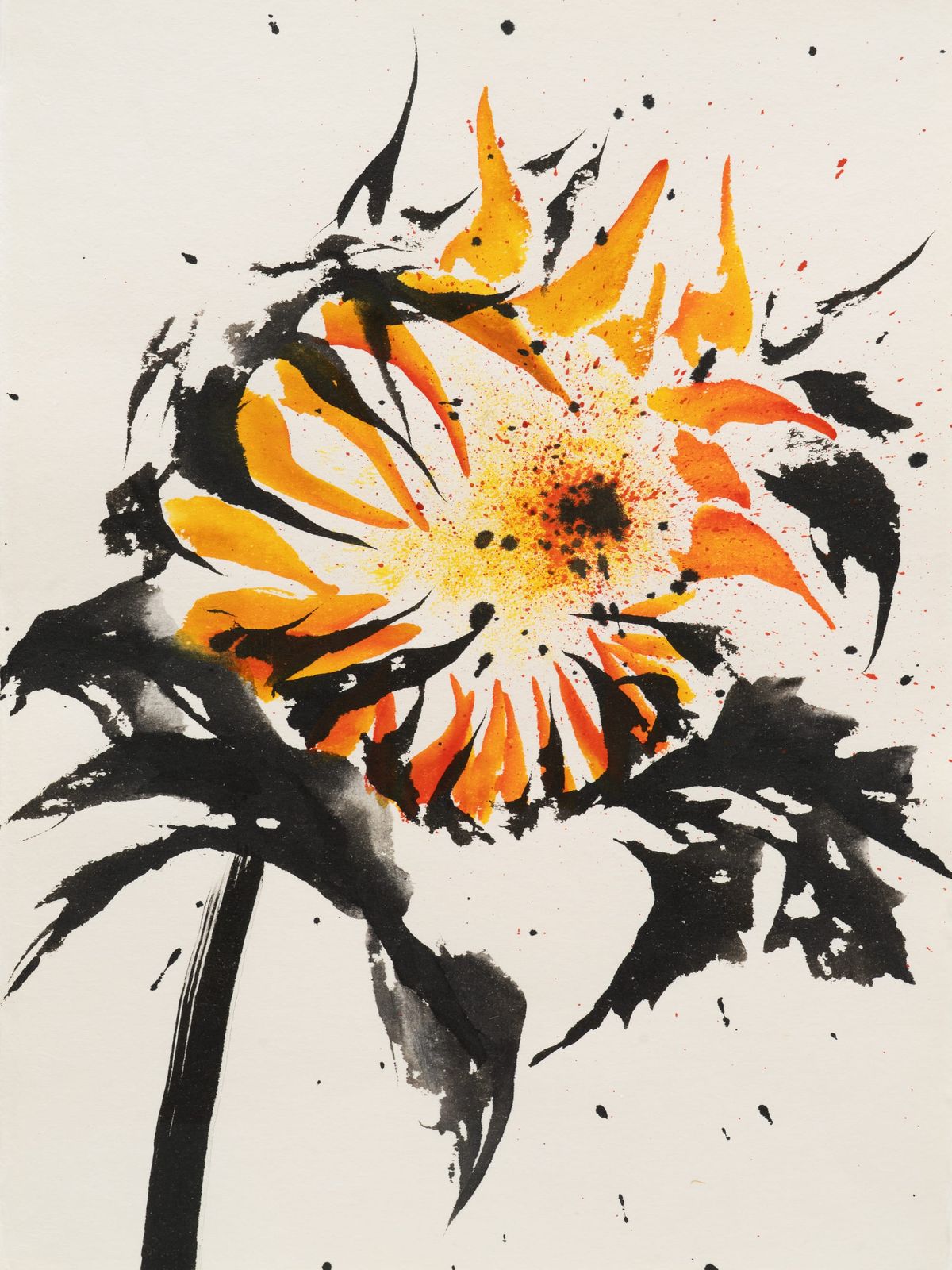 The Sunflower Effect of Kyung-Me