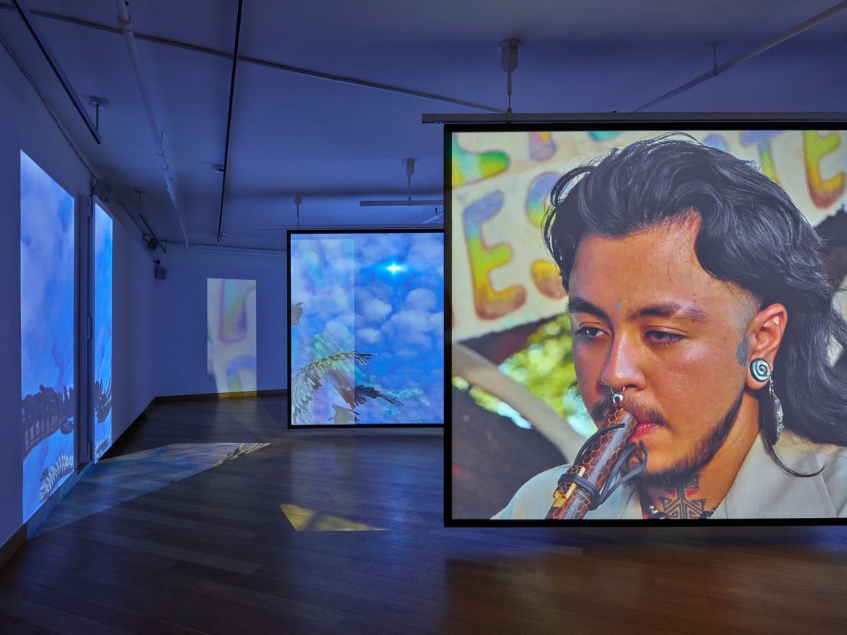 Shu Lea Cheang Gives Trans Artists the Wings to Fly