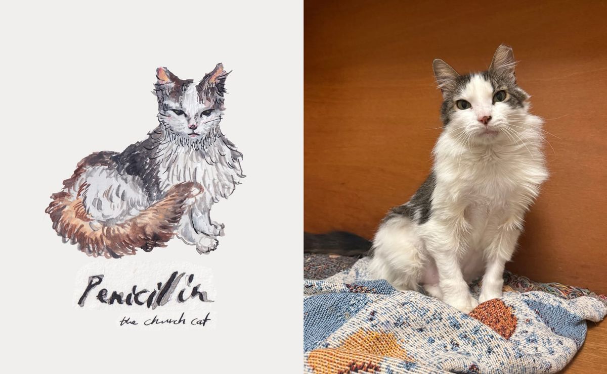 How Are Artists Affording Pet Care?