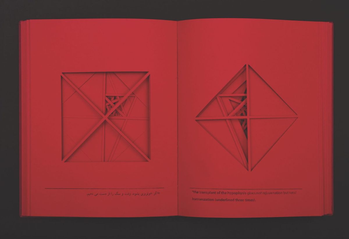 Books to See and Feel